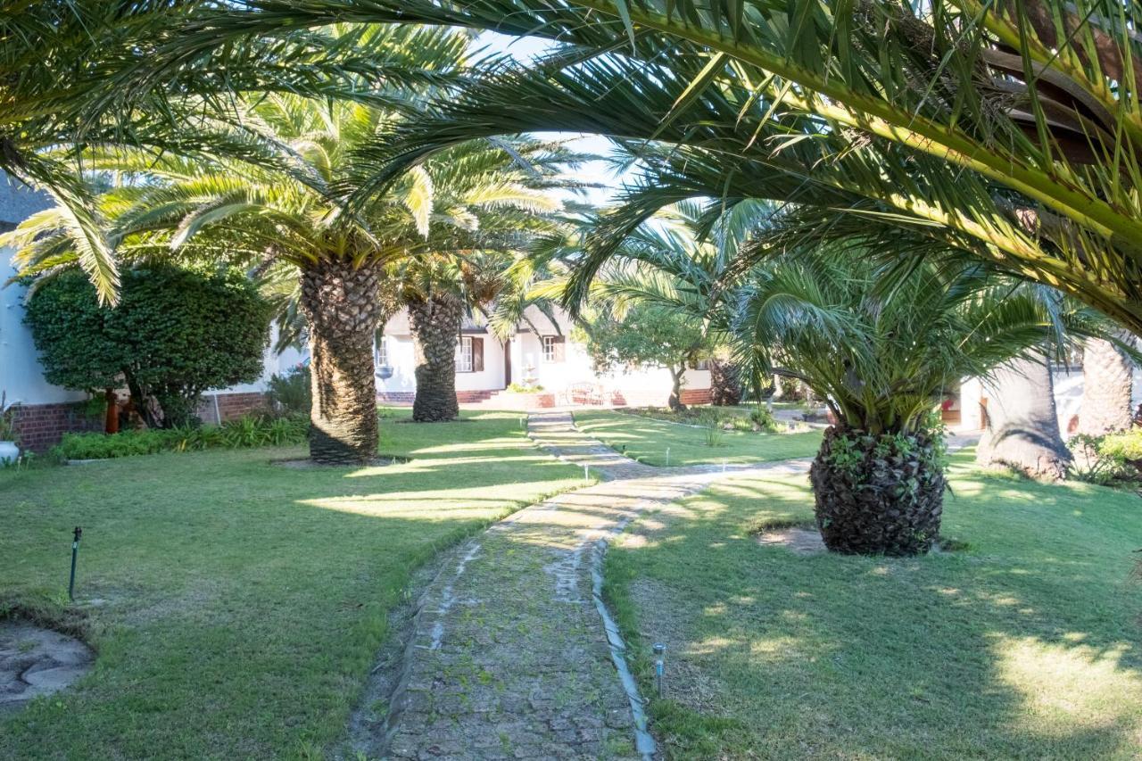 The Sanctuary Guest House Estate Ciudad del Cabo Exterior foto